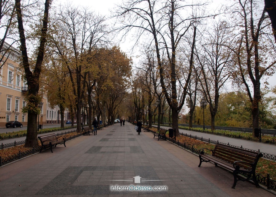 Лучше место для прогулок